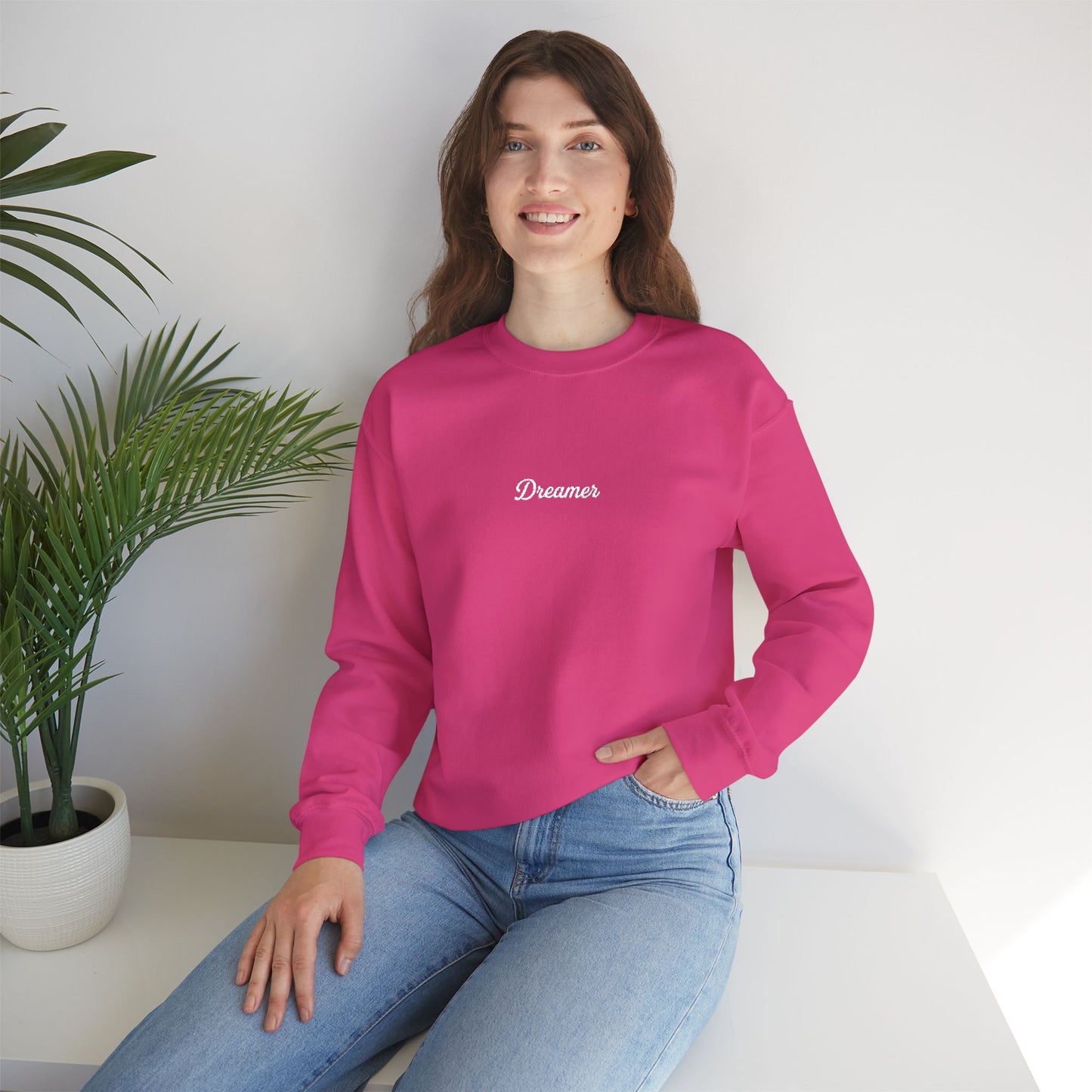 Dreamer Embroidered Crewneck Sweatshirt