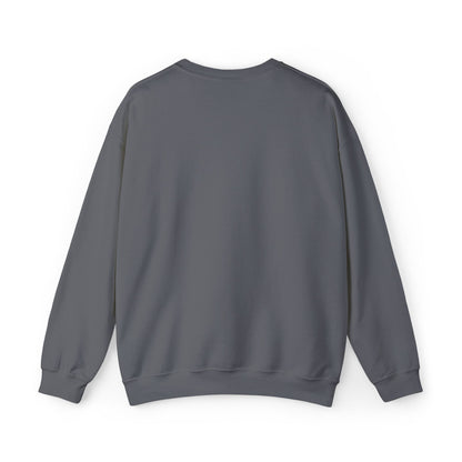 Dreamer Embroidered Crewneck Sweatshirt