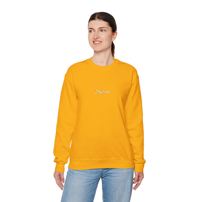 Dreamer Embroidered Crewneck Sweatshirt