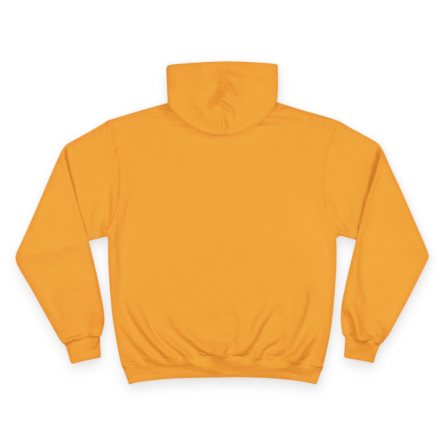 Went Through A Lot of BS to Earn My BS Champion Hoodie
